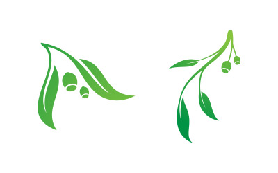 Modello di progettazione dell&amp;#39;illustrazione vettoriale della foglia di olio d&amp;#39;oliva v.12