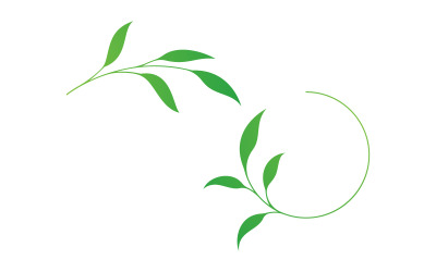 Modello di progettazione dell&amp;#39;illustrazione vettoriale della foglia di olio d&amp;#39;oliva v.13