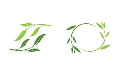 Olive Oil leaf vector illustration design template v.10