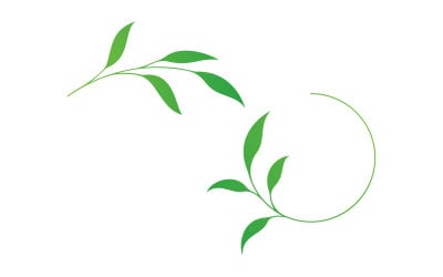 Olive Oil leaf vector illustration design template v.13