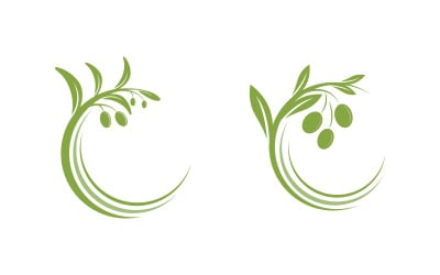 Szablon projektu ilustracji wektorowej liścia oliwy z oliwek v.3
