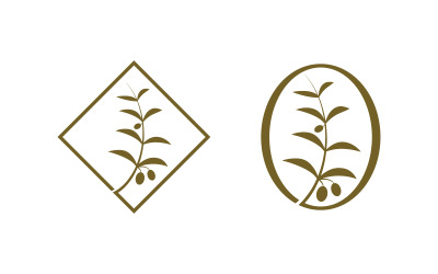 Szablon projektu ilustracji wektorowej liścia oliwy z oliwek v.17