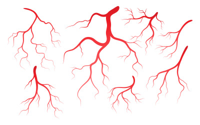 Human Health vener och artärer illustration designmall v.2