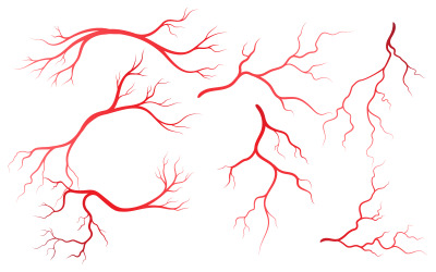 Modèle de conception d&amp;#39;illustration de veines et d&amp;#39;artères pour la santé humaine v.5
