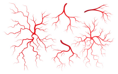 Шаблон дизайна иллюстраций вен и артерий для здоровья человека, версия 3