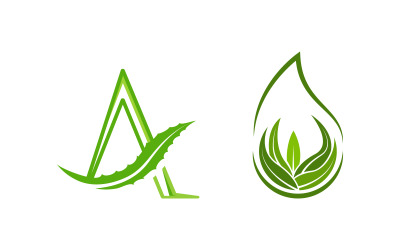 Aloe Vera Vector icon design illustration design template v.2