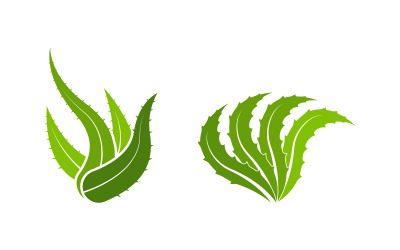 Aloe Vera Vector icona design illustrazione modello di progettazione v.3