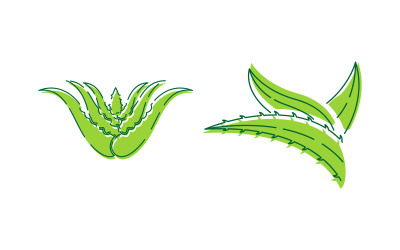 Aloe Vera Vector icona design illustrazione modello di progettazione v.6
