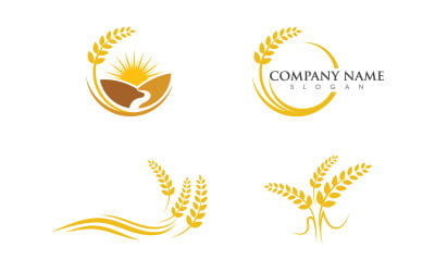 Agriculture Rice farm wheat vector icon illustration design v.1