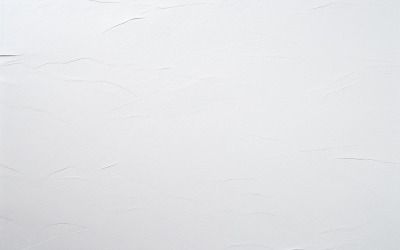 Fond de papier texturé vierge