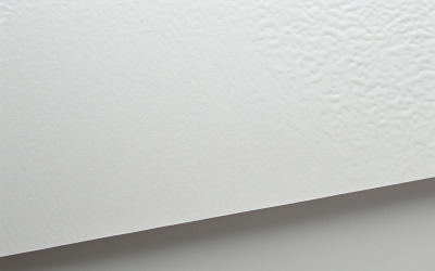 Fondo de libro blanco, Libro blanco