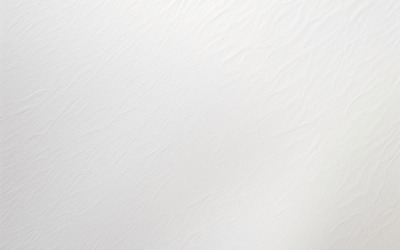 Fondo de papel blanco_fondo de papel texturizado