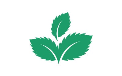 Mint leaves flat vector icon illustration design template v.26