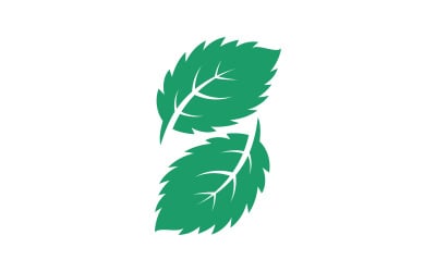 Mint leaves flat vector icon illustration design template v.27