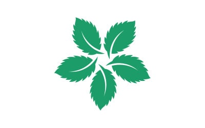 Mint leaves flat vector icon illustration design template v.30