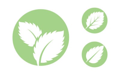 Mint leaves flat vector icon illustration design template v.31