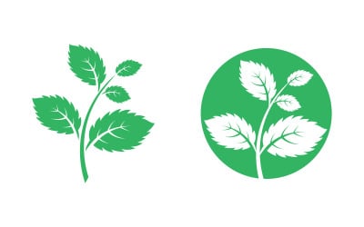 Mint leaves flat vector icon illustration design template v.35