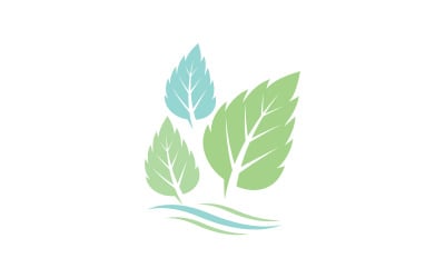 Mint leaves flat vector icon illustration design template v.38