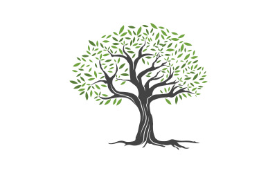 Modello di progettazione dell&amp;#39;illustrazione vettoriale dell&amp;#39;icona dell&amp;#39;albero di ulivo v.15