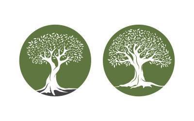 Modello di progettazione dell&amp;#39;illustrazione vettoriale dell&amp;#39;icona dell&amp;#39;albero di ulivo v.3