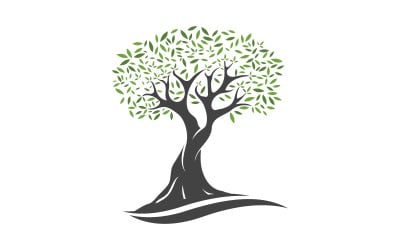 Olive Fruit Tree icon vector illustration design template v.11