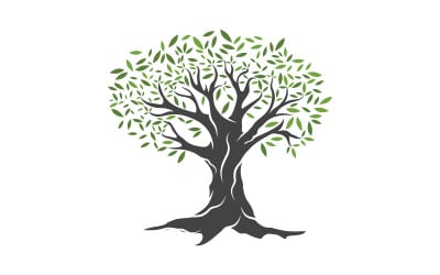 Olive Fruit Tree icon vector illustration design template v.16