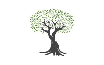 Olive Fruit Tree icon vector illustration design template v.18