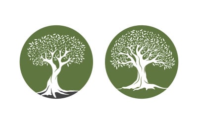 Olive Fruit Tree icon vector illustration design template v.3