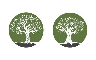 Olive Fruit Tree icon vector illustration design template v.4