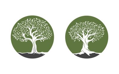 Olivenfruchtbaum-Symbol, Vektorgrafik-Design-Vorlage v.4