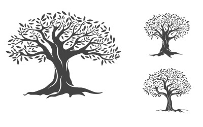 Olivenfruchtbaum-Symbol, Vektorgrafik-Design-Vorlage v.5