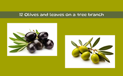 Olives and leaves on a tree branch