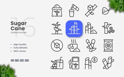 16 Sugar Cane Outline Icon Set