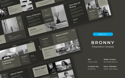 Bronny – Шаблон бизнес-презентации