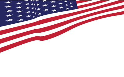 Bandiera americana icona vettoriale illustrazione design modello v.8