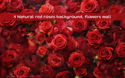 Sfondo naturale di rose rosse, parete di fiori