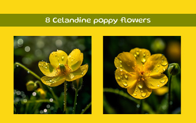 Celandine poppy flowers AI image