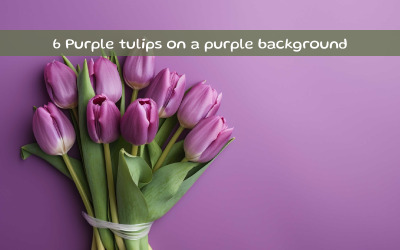 Tulipes violettes sur fond violet