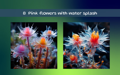 Pink flowers with water splash