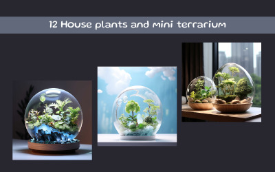 House plants and mini terrarium