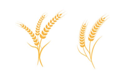 Farm wheat rice vector icon illustration design template v.18