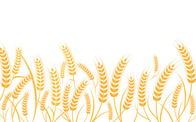 Farm wheat rice vector icon illustration design template v.29