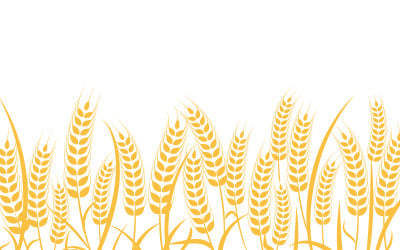 Farm wheat rice vector icon illustration design template v.30