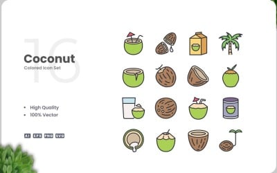 16 Coconut Icon Color Set