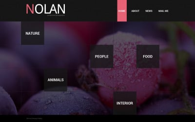 Modèle de site Web de portfolio de photographe