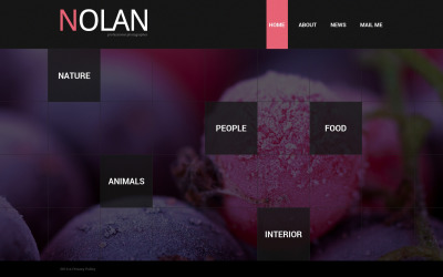 Modello di sito Web del portfolio del fotografo