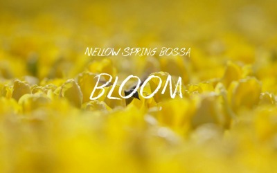 Moments d&amp;#39;émerveillement / Bloom