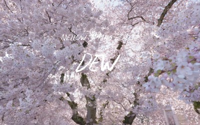 Morning Dew Glistens / Dew