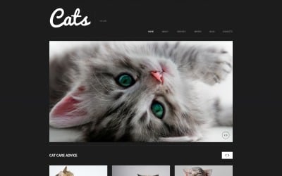 Thème WordPress réactif pour chat