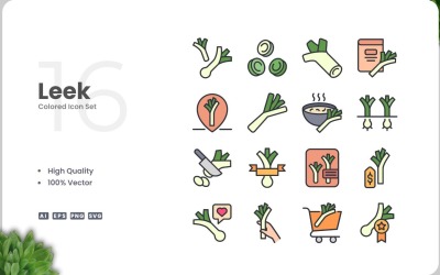 16 Leek Colored Icons Set